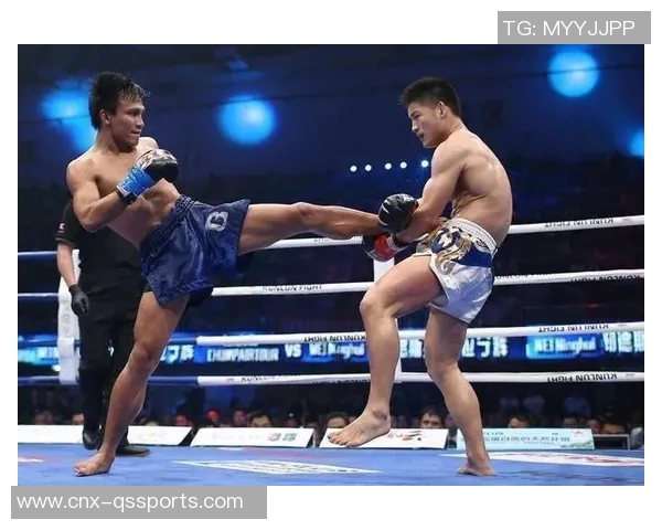 位宁辉与麦克赛尔激战在即谁能在拳坛中脱颖而出成为新王者